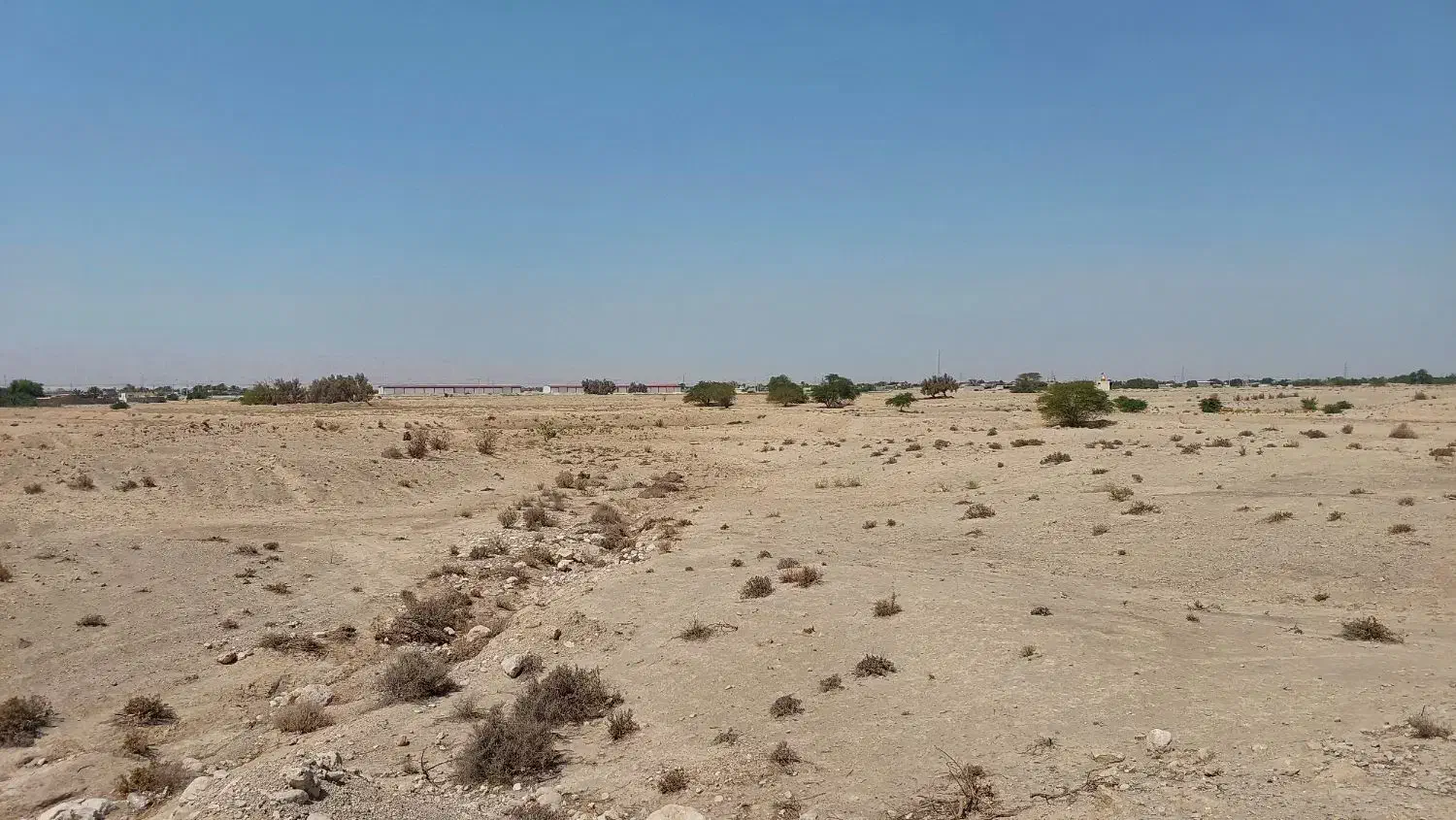 زمین کشاورزی مساحت (۵۵.۸۰۴) خورموج روستای نودرار|فروش زمین و ملک کلنگی|خورموج, |دیوار