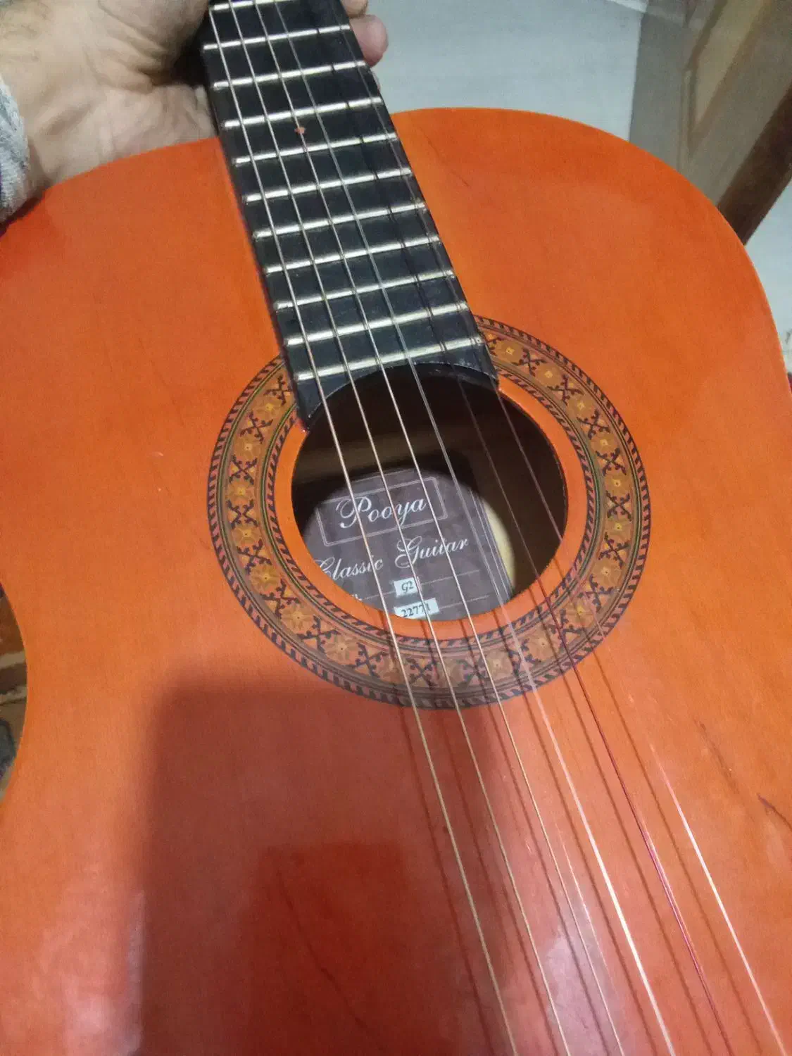 گیتار پویا g2|گیتار، بیس، امپلیفایر|شاهین‌شهر, فردوسی|دیوار