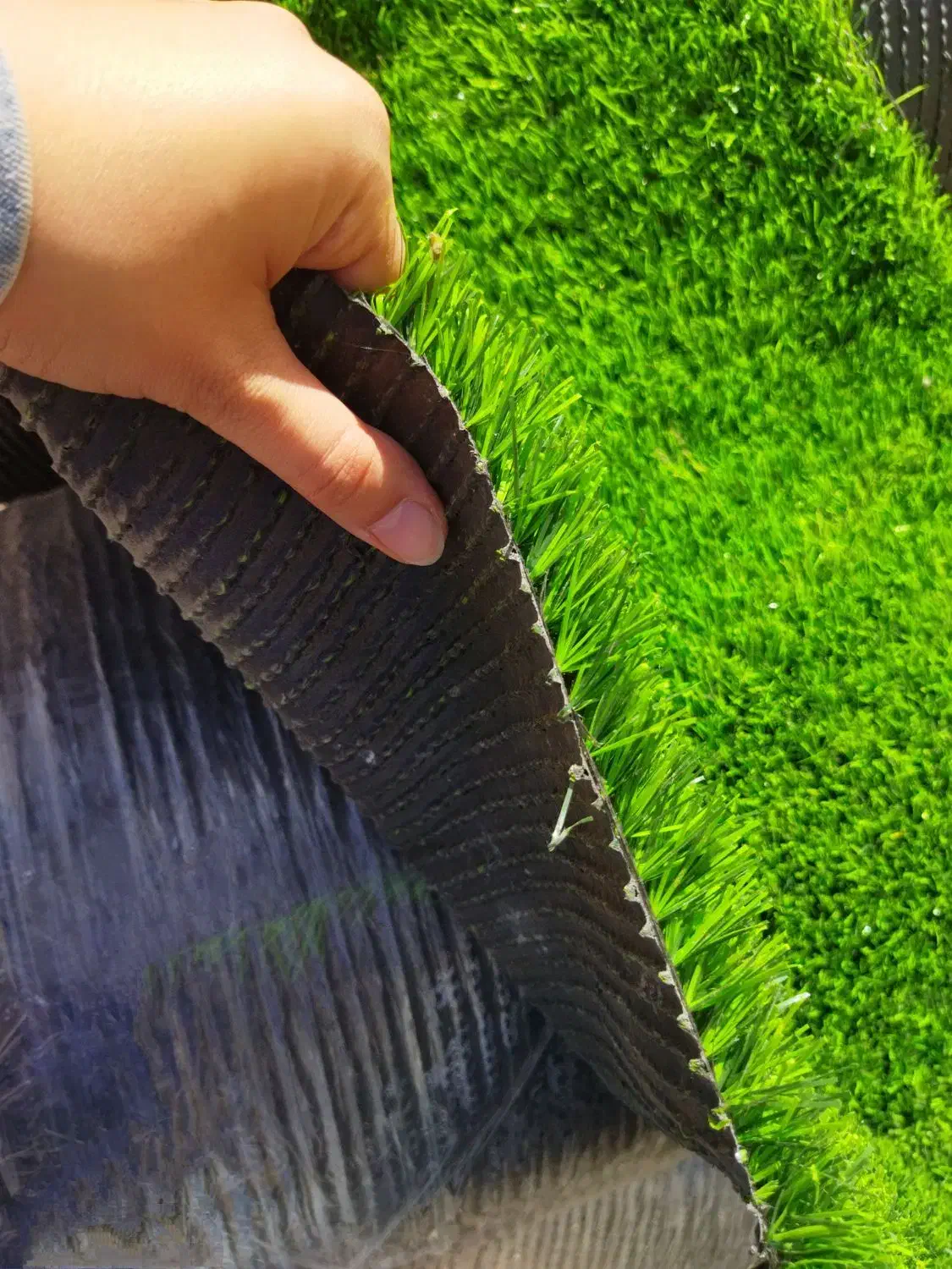 پخش عمده و جزئی چمن مصنوعی|مصالح و تجهیزات ساختمان|رامسر, |دیوار