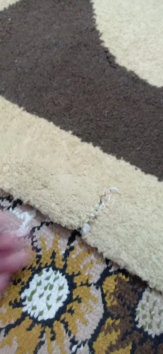 سلام ی دانه گلیم فرش|گلیم، جاجیم، گبه|کرمانشاه, |دیوار