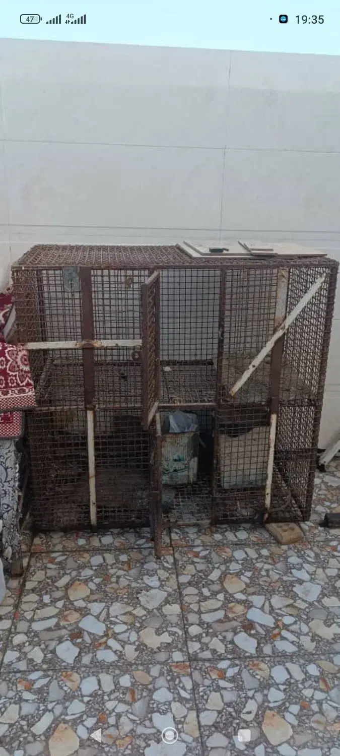 قفس|لوازم جانبی حیوانات|باوی, |دیوار