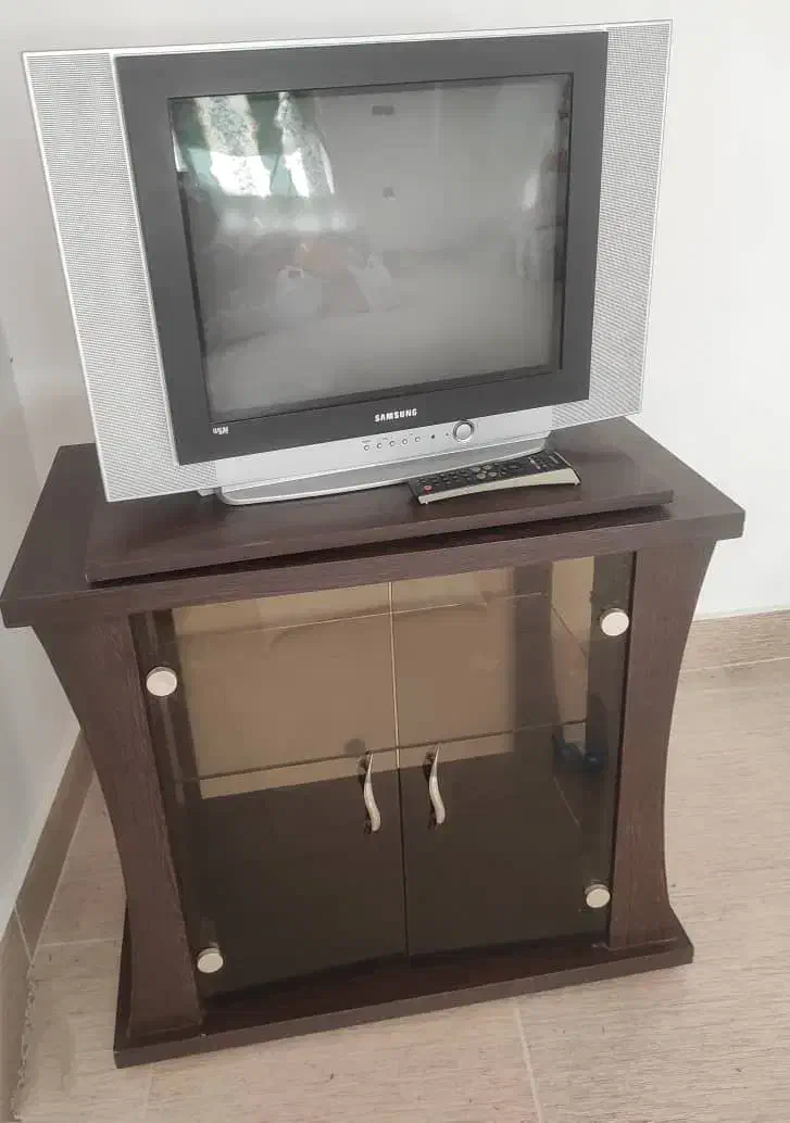 تلویزیون ۲۱اینچ بامیز|تلویزیون و پروژکتور|گرگان, |دیوار