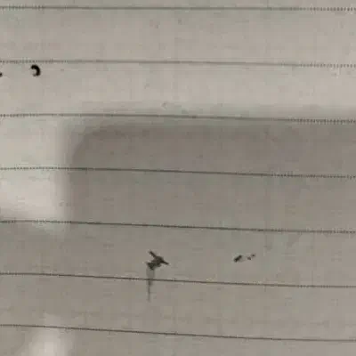 زمین مسکونی به مساحت 230 متر مربع|فروش زمین و ملک کلنگی|قره ضیاالدین, |دیوار