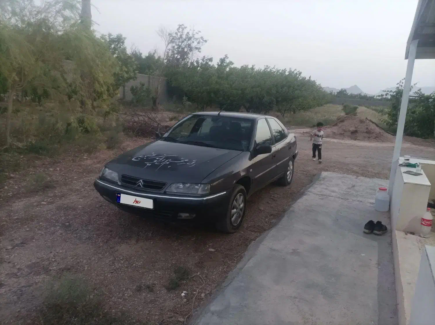 زانتیا مدل 82 فنی سالم|خودرو سواری و وانت|شاهرود, |دیوار