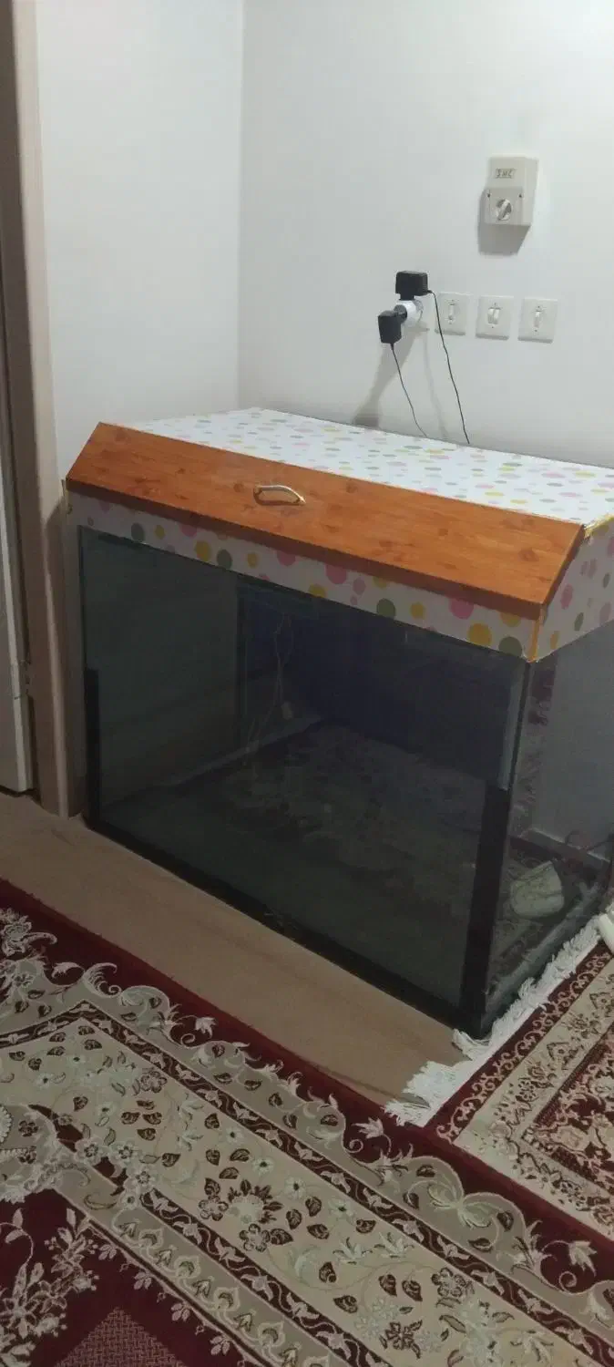 اکواریوم|ماهیگیری|بهبهان, |دیوار