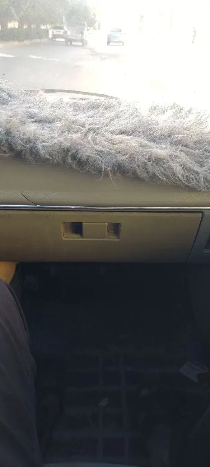 راننده|خدمات حمل و نقل|بندرعباس, |دیوار