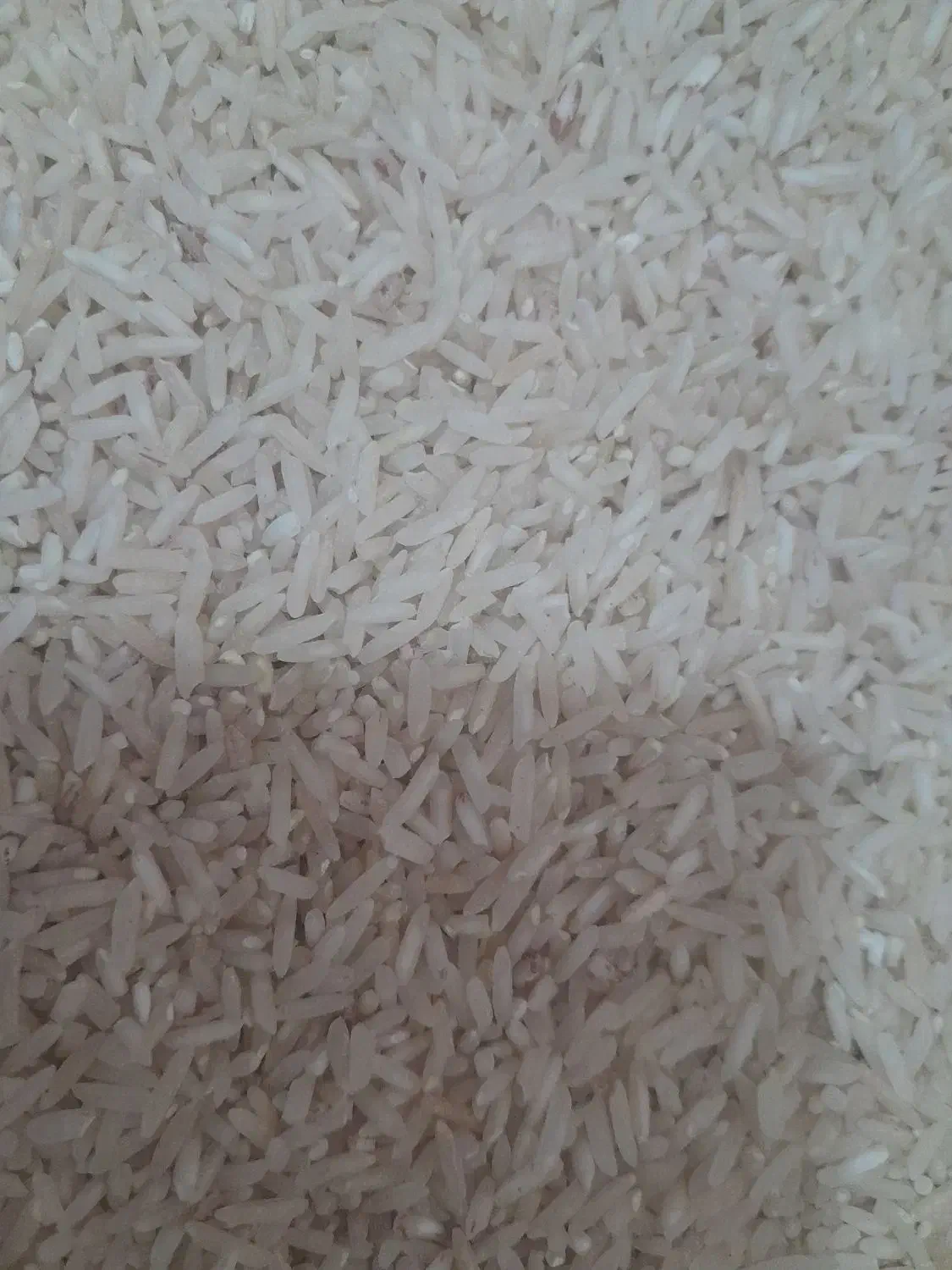 برنج هاشمی درجه یک|خوردنی و آشامیدنی|کارزان, |دیوار