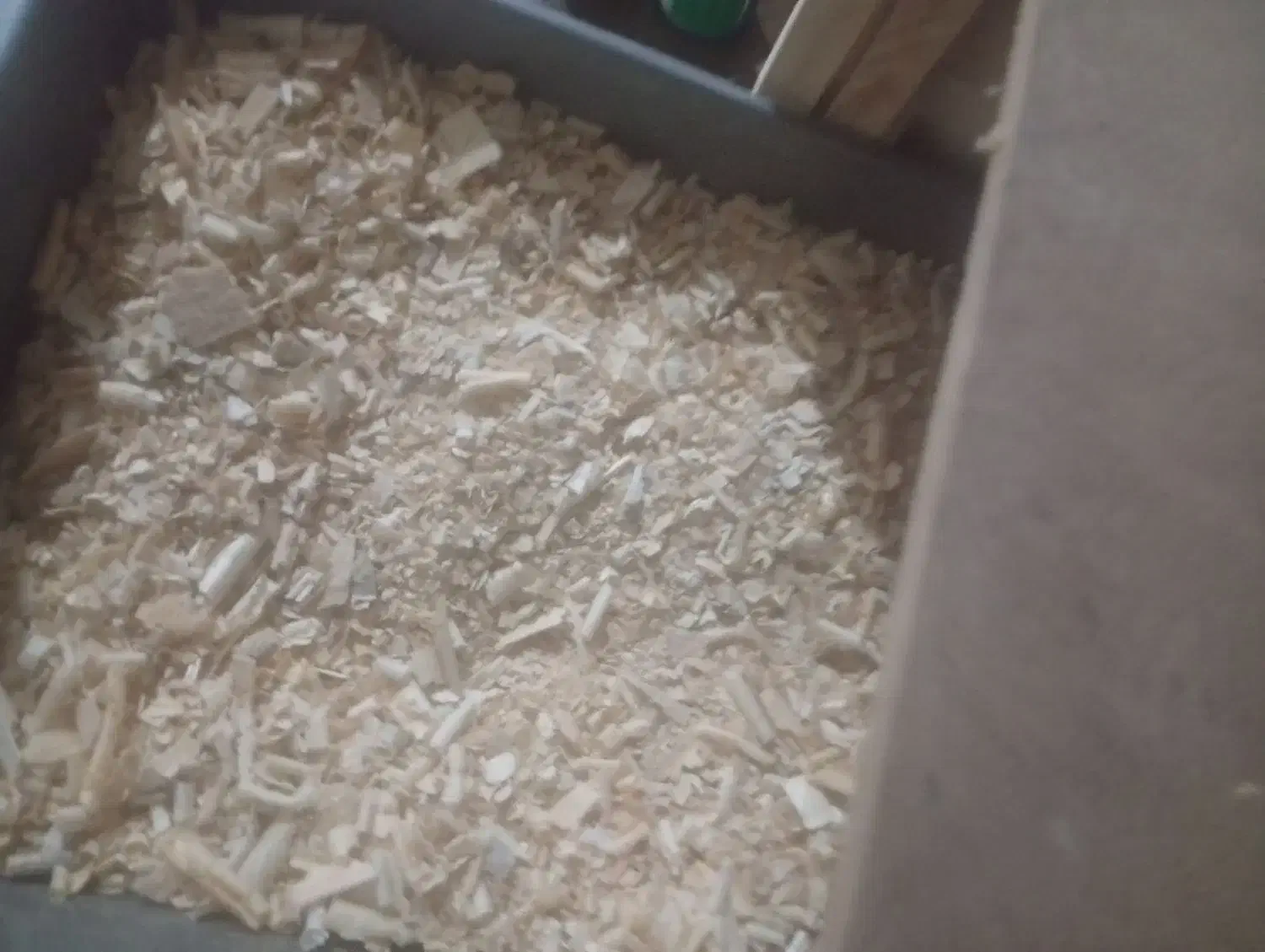 لونه ی پرنده|لوازم جانبی حیوانات|فیروزآباد (فارس), |دیوار