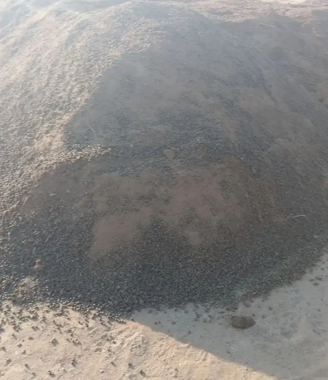 فروش کود حیوانی گوسفندی|لوازم جانبی حیوانات|کرمانشاه, |دیوار