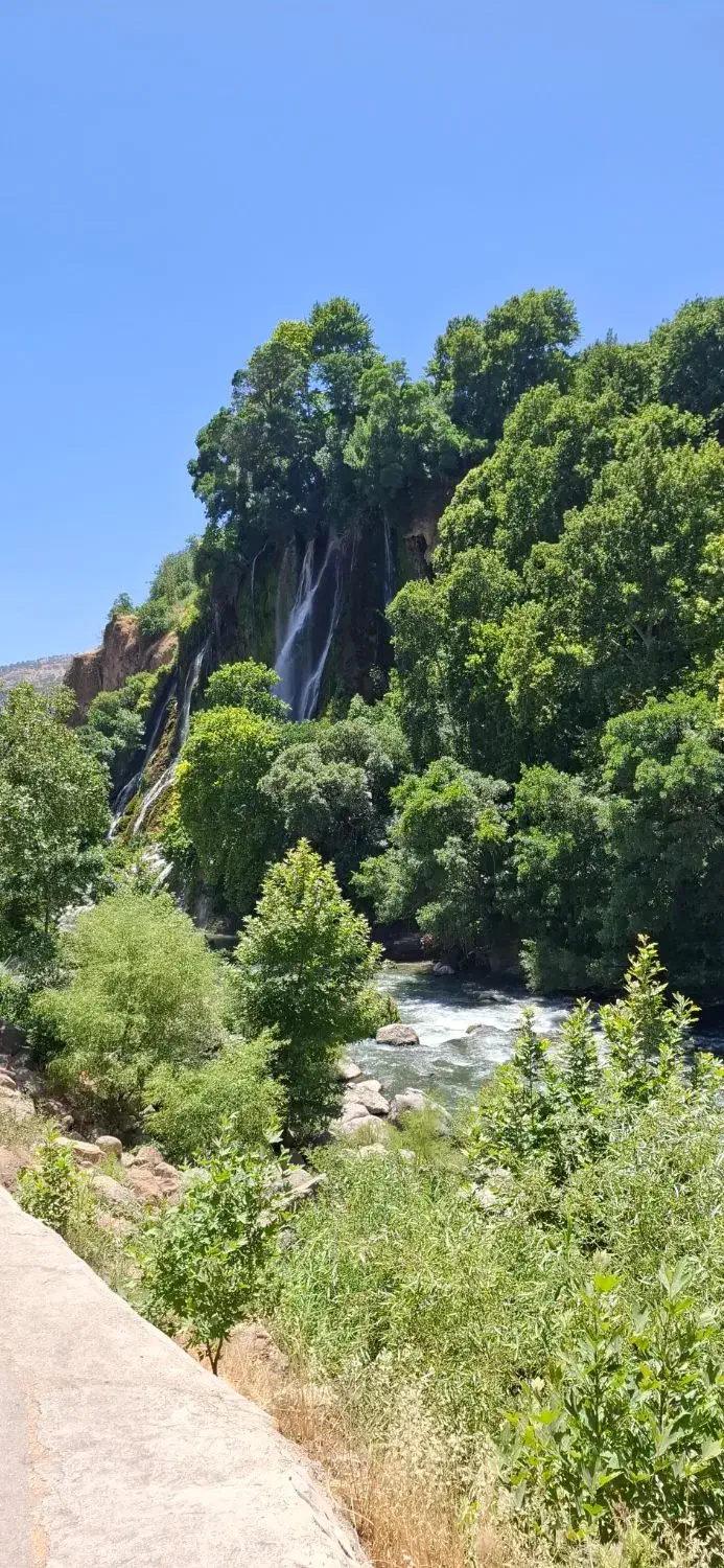 نیازمند پارتنر همسفر طبیعت گردی|فعالیت داوطلبانه|یزد, |دیوار