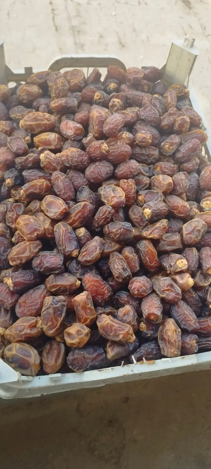 جراحی|خوردنی و آشامیدنی|بندر ماهشهر, |دیوار