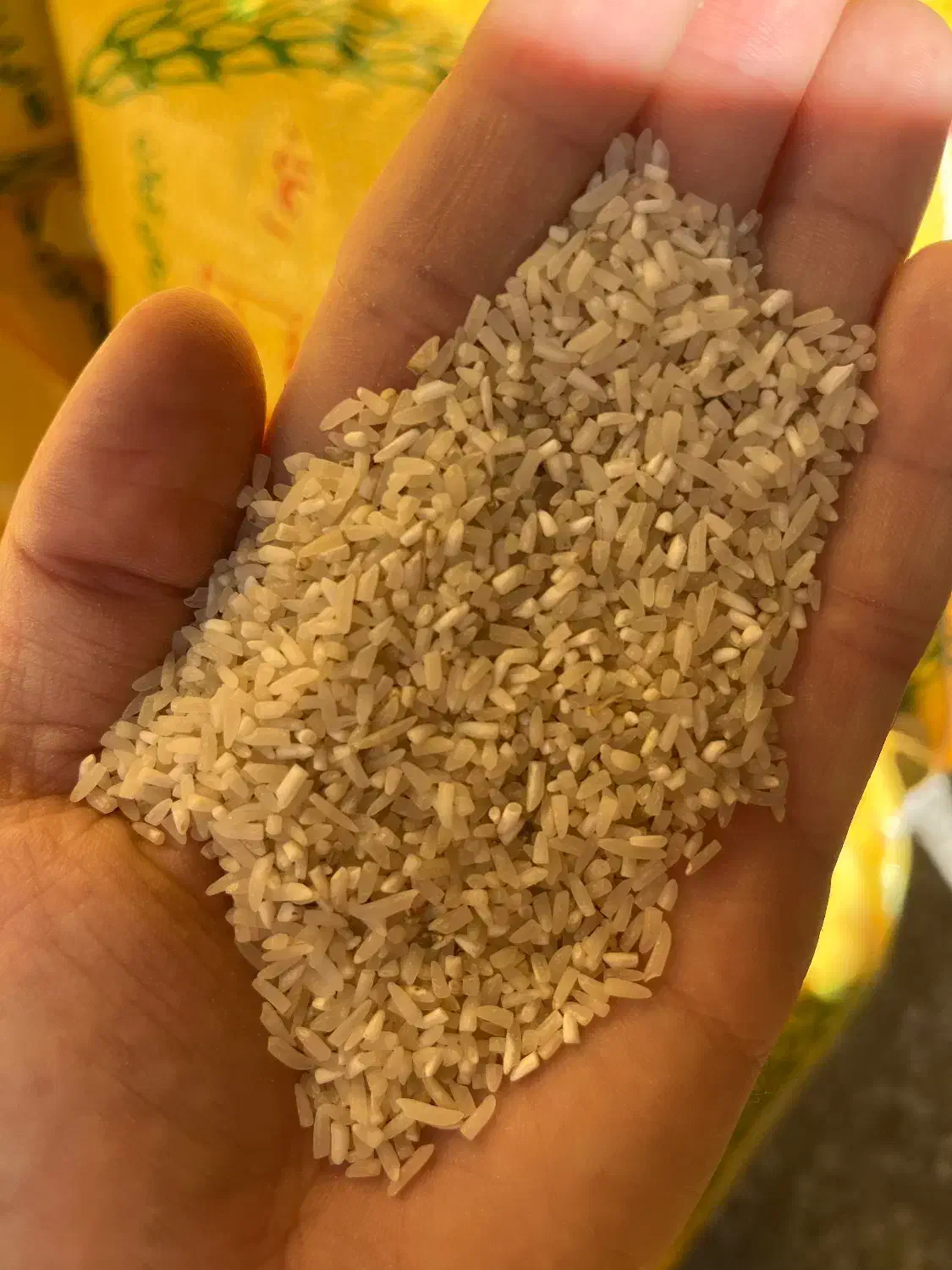 سرلاشه فجر درجه یک و عطری|خوردنی و آشامیدنی|رضوانشهر, |دیوار