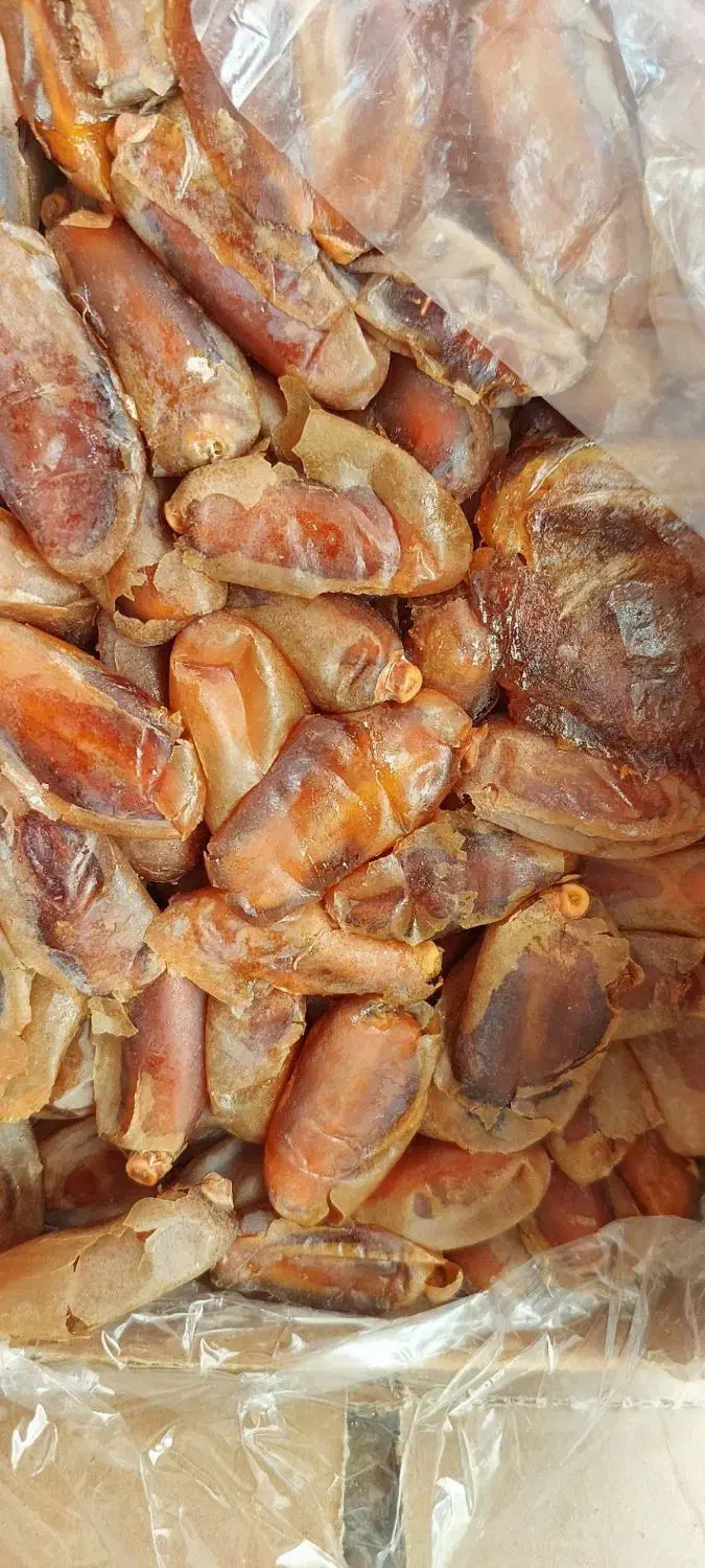 خرمای شاهانی|خوردنی و آشامیدنی|شیراز, شیخ علی چوپان|دیوار