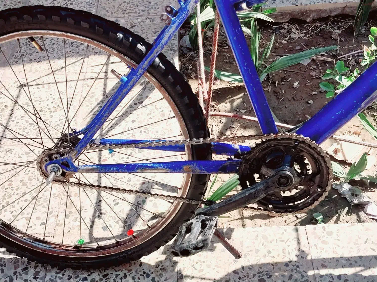 دوچرخه ۲۶|دوچرخه، اسکیت، اسکوتر|ایرانشهر, |دیوار