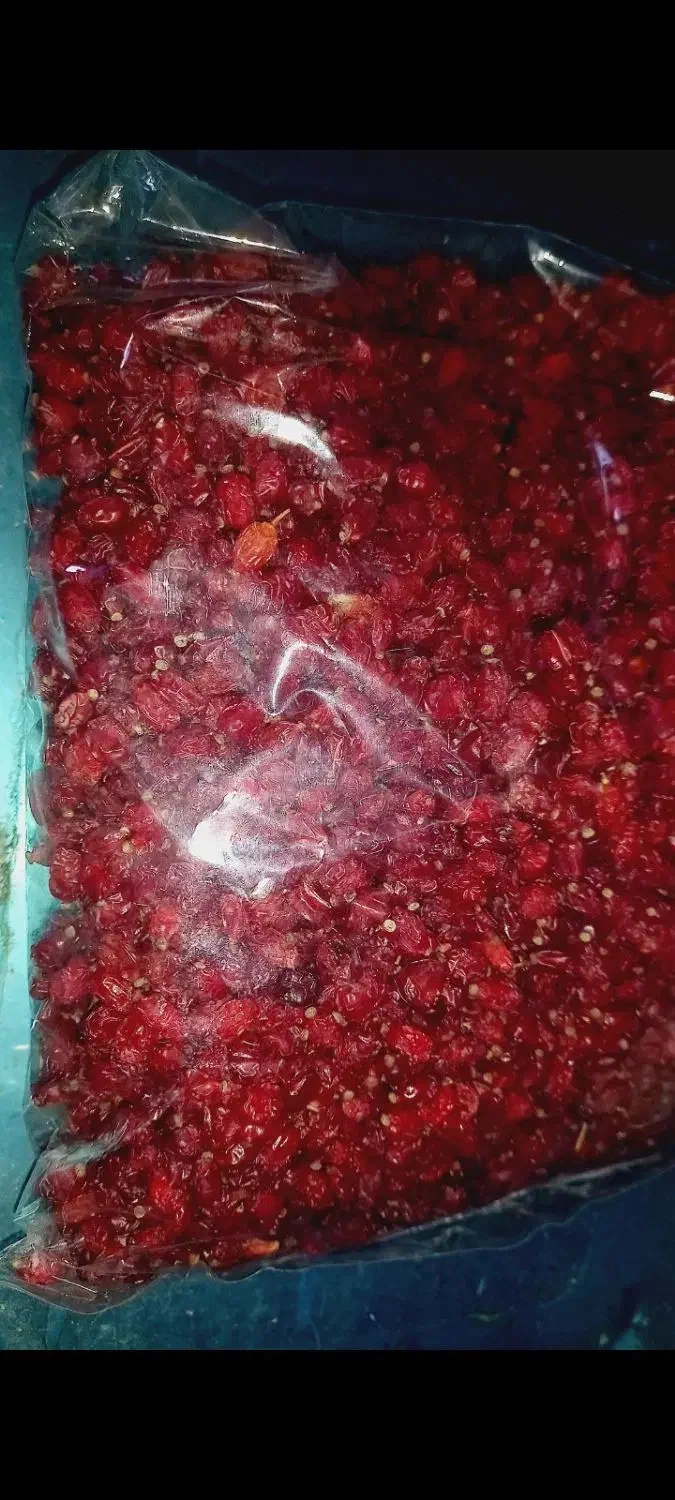 عناب وزرشک|خوردنی و آشامیدنی|نیشابور, شهرک بسیج|دیوار