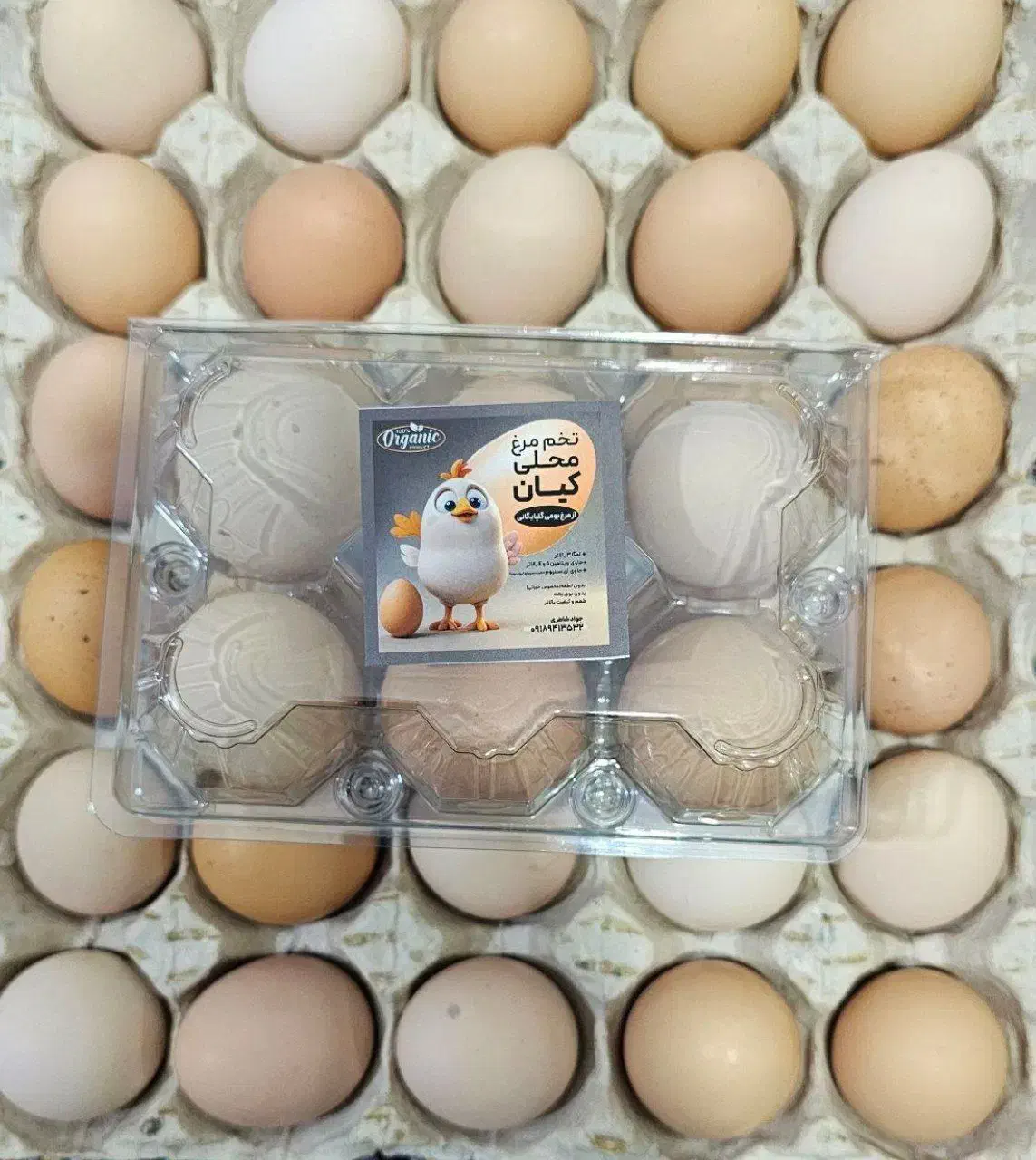 فروش تخم مرغ ارگانیک محلی|خوردنی و آشامیدنی|پلدختر, |دیوار