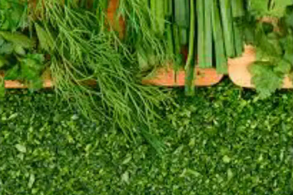 سبزی خوردکن|خردکن، آسیاب، غذاساز|دزفول, |دیوار