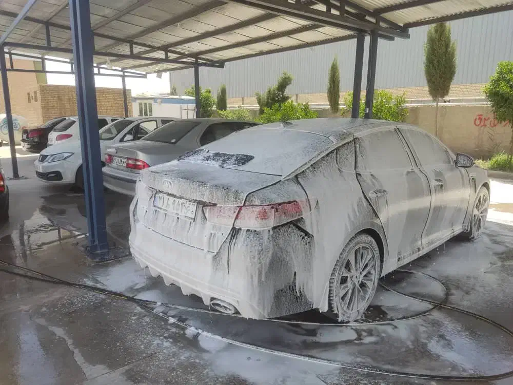 کارواش سیار مبل شویی|خدمات نظافت|شیراز, شهرک بهار|دیوار