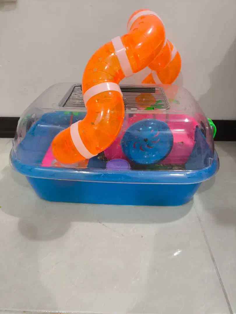 قفس همستر به همراه همستر|موش و خرگوش|اهواز, گلستان|دیوار