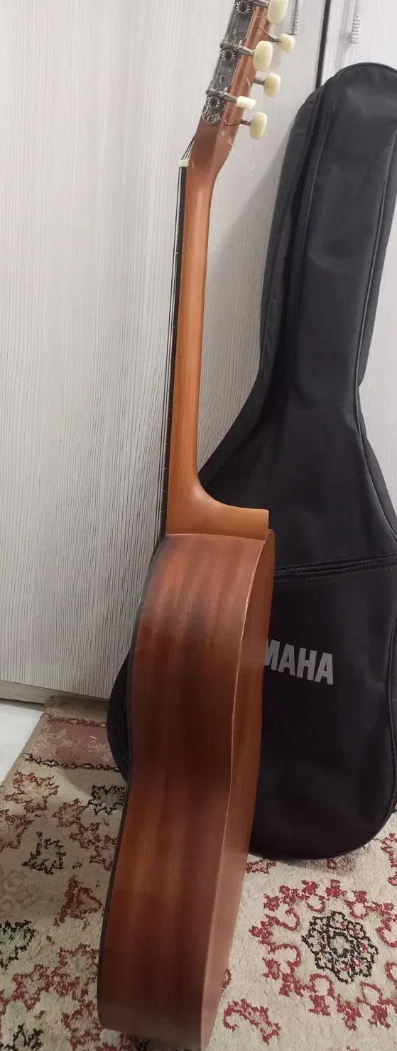 گیتار پارسی m2|گیتار، بیس، امپلیفایر|محمدیه-قزوین, |دیوار