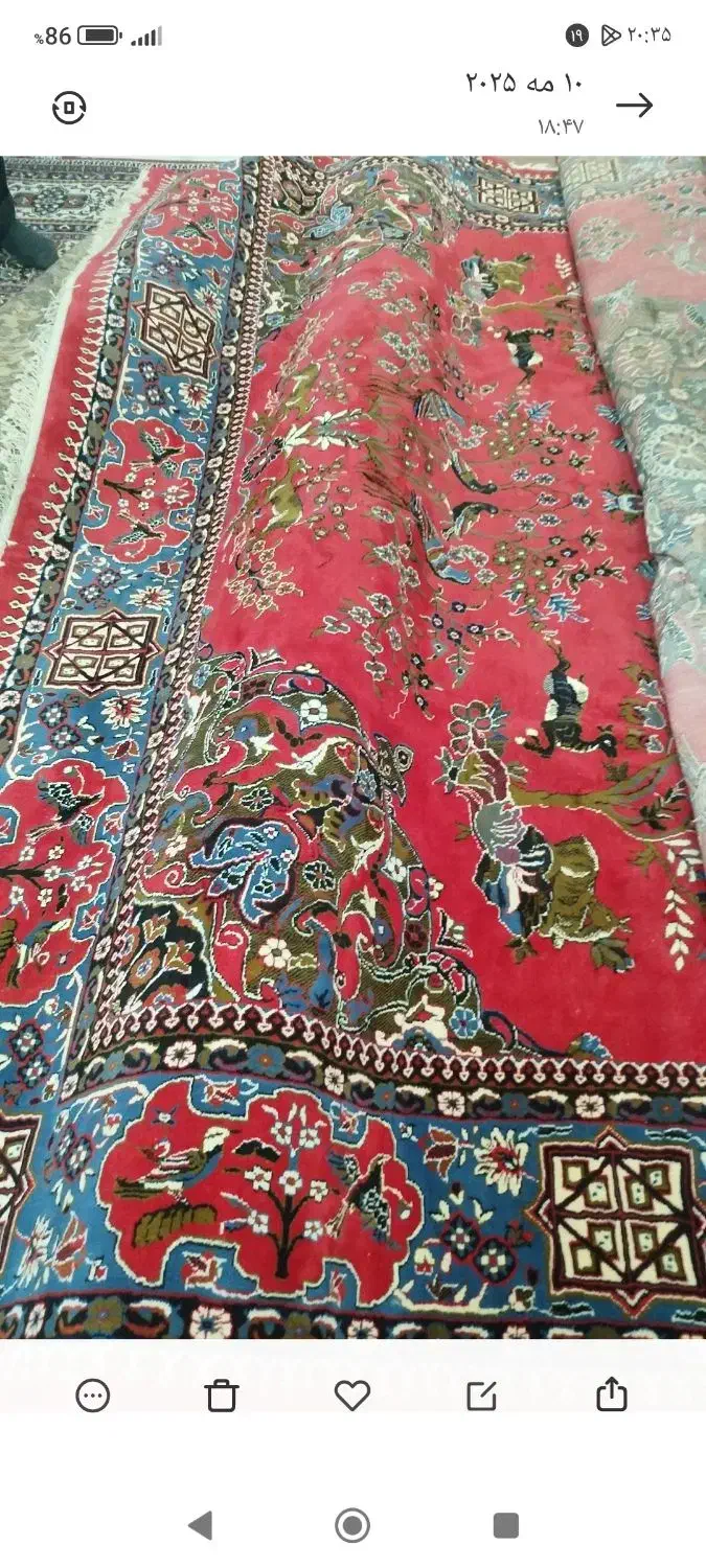 دوعدد فرش 12متری|فرش|اهواز, نادری|دیوار