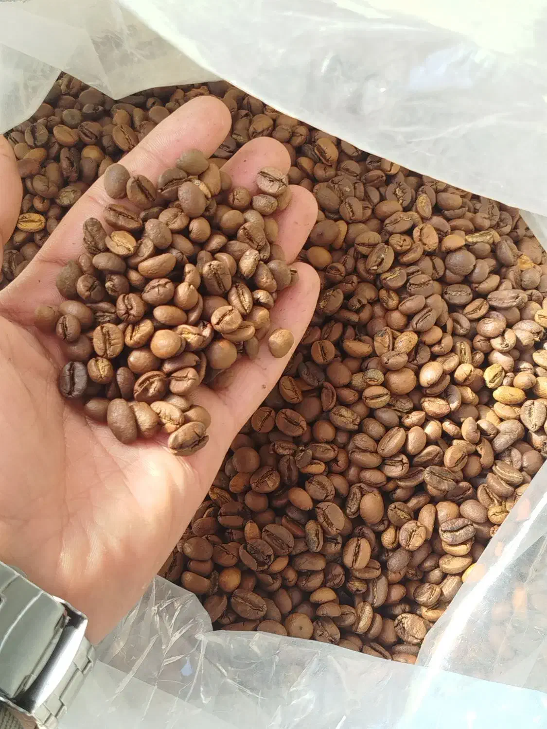 قهوه کافه اسپرسو|کافی‌شاپ و رستوران|یزد, |دیوار