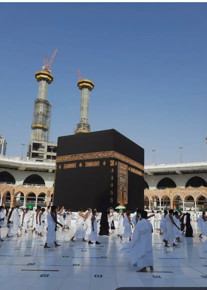 فروش فیش حج|تور و چارتر|ساری, |دیوار