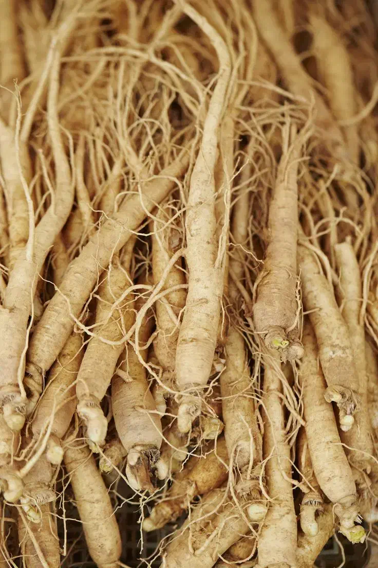 درمان ناباروری و تقویت قوای جنسی|آرایشی، بهداشتی، درمانی|اهواز, کیانپارس |دیوار