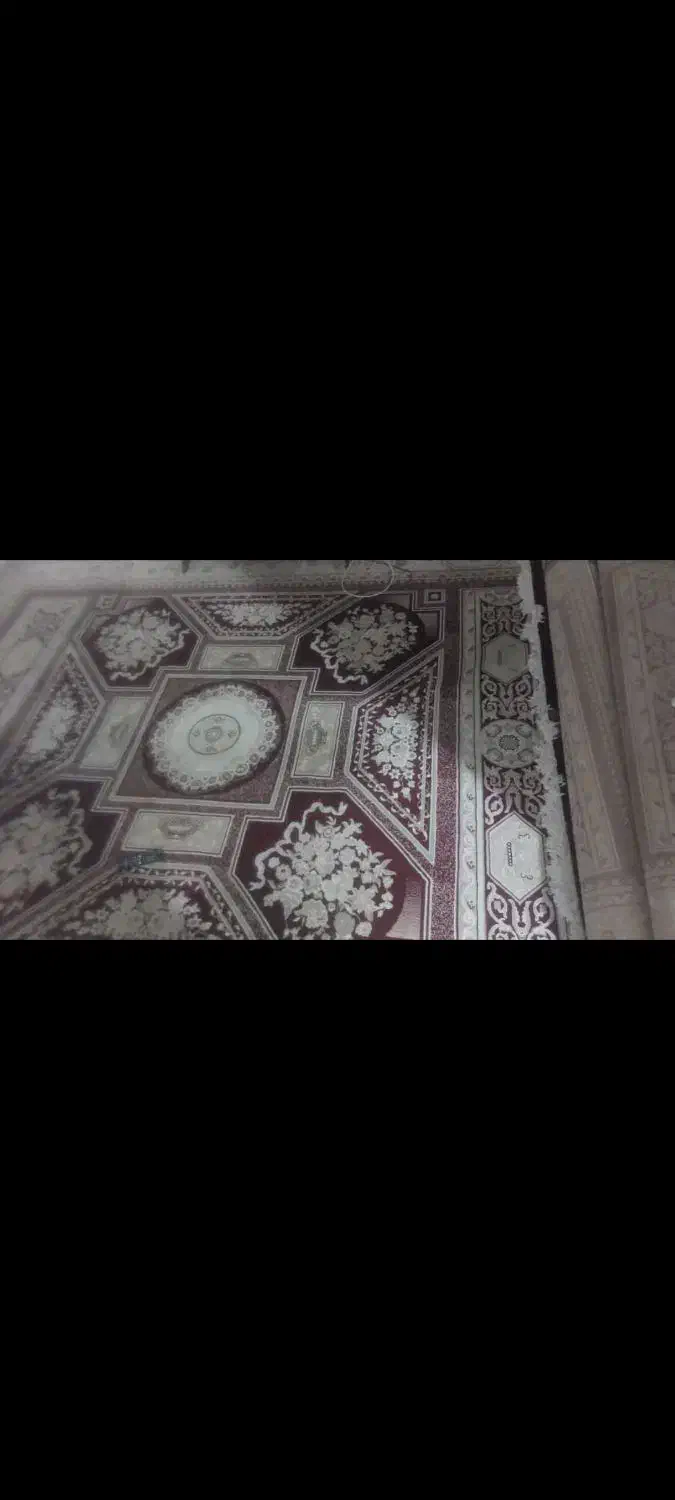 قالی 12متری و 6 متری|فرش|قیروکارزین, |دیوار