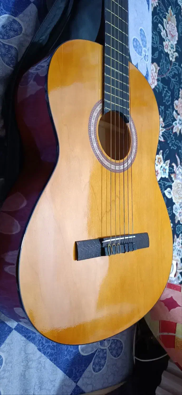 گیتار فروشی|گیتار، بیس، امپلیفایر|بندرعباس, |دیوار