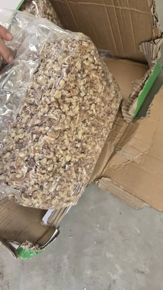 دندونه گردو امسالی مناسب قنادها|عمده‌فروشی|مشهد, سرافرازان|دیوار