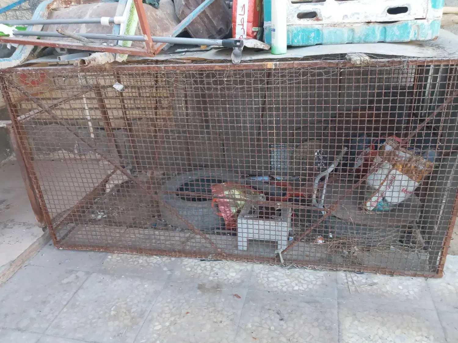 قفس مرغ|لوازم جانبی حیوانات|لنده, |دیوار