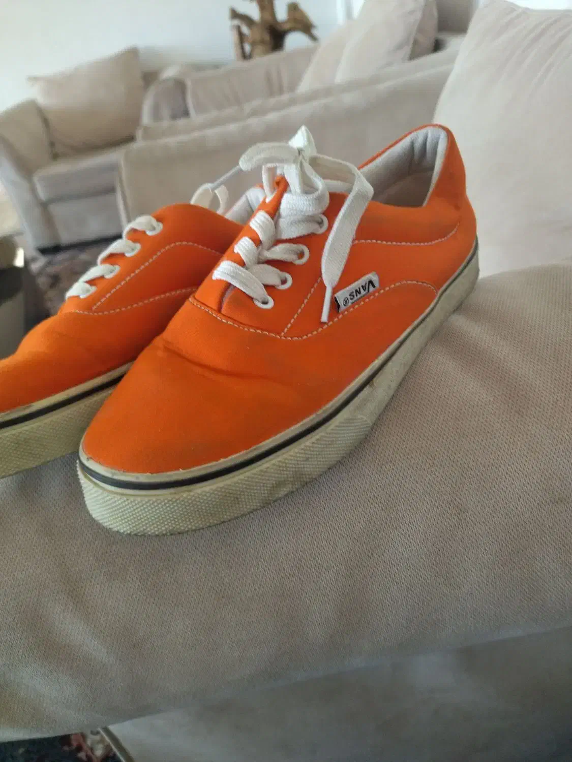 کفش|کیف، کفش، کمربند|کرمانشاه, |دیوار