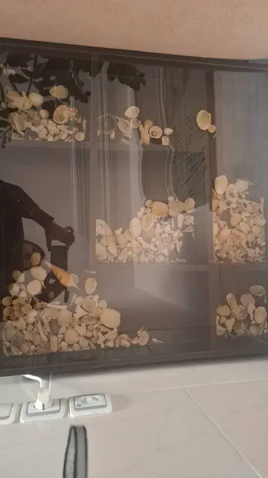 فروش گل میز و پایه در حد نو|مبلمان خانگی و میز عسلی|شیراز, شهرک والفجر|دیوار