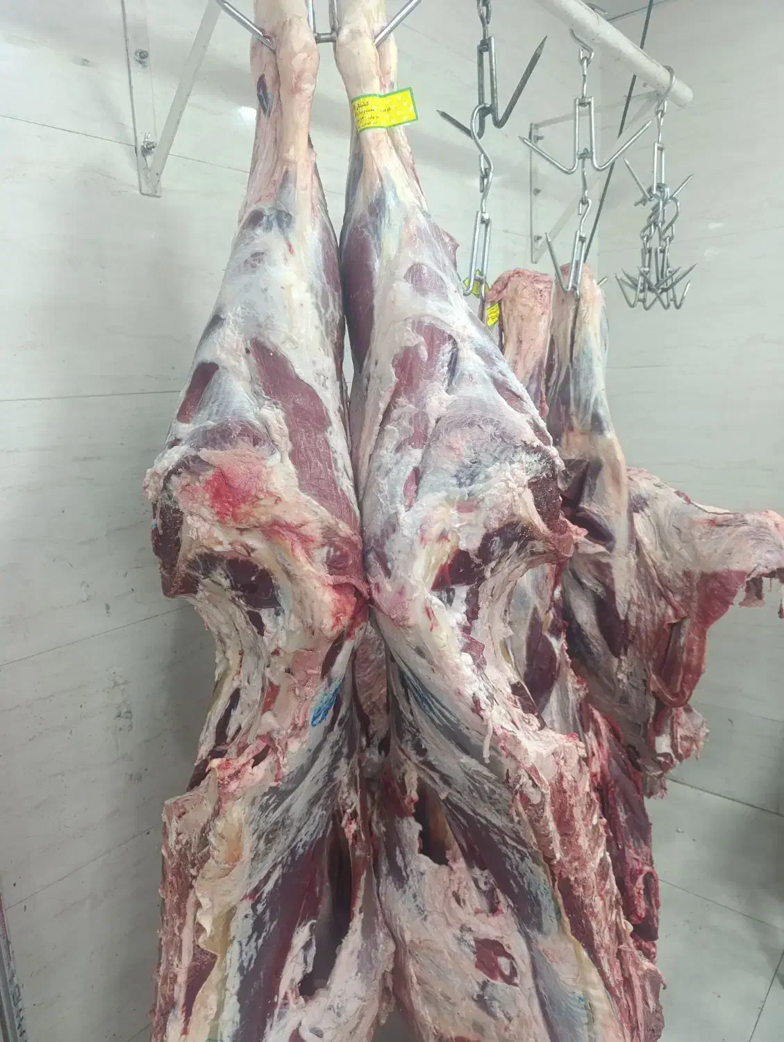 قصاب و قطعه بندی گوشت|استخدام خدمات فروشگاه و رستوران|اهواز, کوی آغاجاری|دیوار