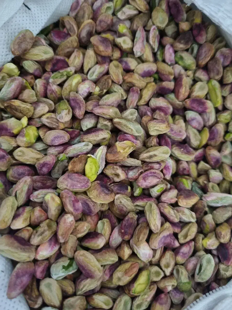 فروش|خوردنی و آشامیدنی|سبزوار, قصبه شرقی|دیوار