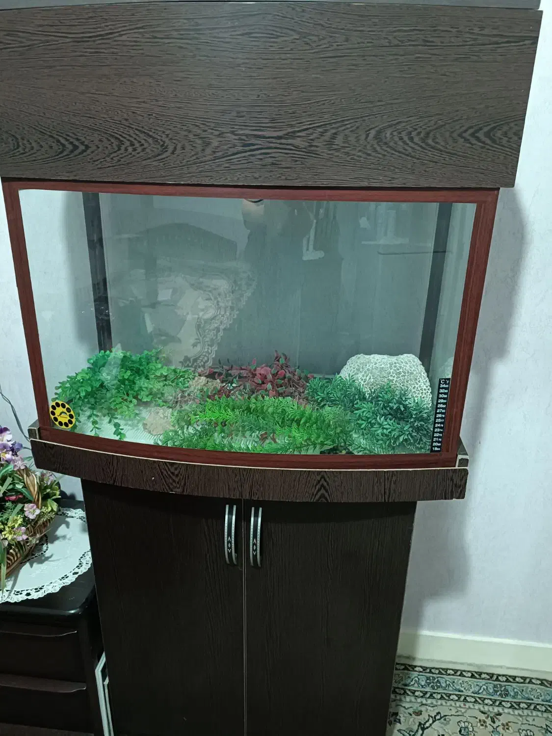 آکواریوم|ماهی|تهران, بلوار کشاورز|دیوار