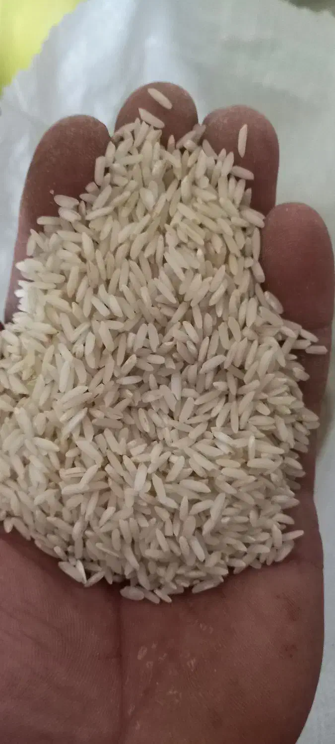 برنج.سالم و نیم دانه|خوردنی و آشامیدنی|بروجرد, |دیوار