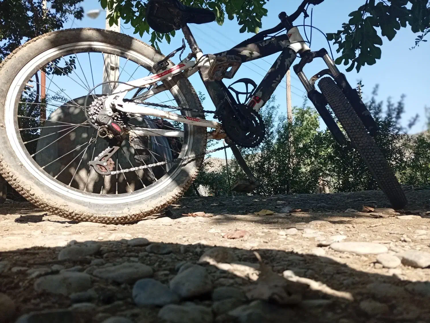 دوچرخه 24|دوچرخه، اسکیت، اسکوتر|خدا آفرین, |دیوار