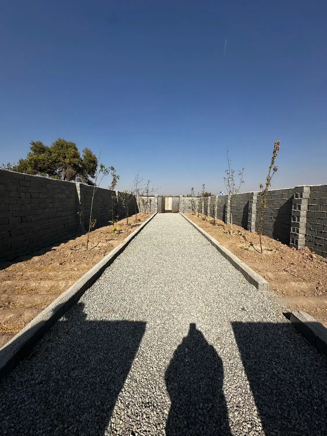 باغچه چسب بافت|فروش زمین و ملک کلنگی|اسلامشهر, شهرک محمدیه|دیوار