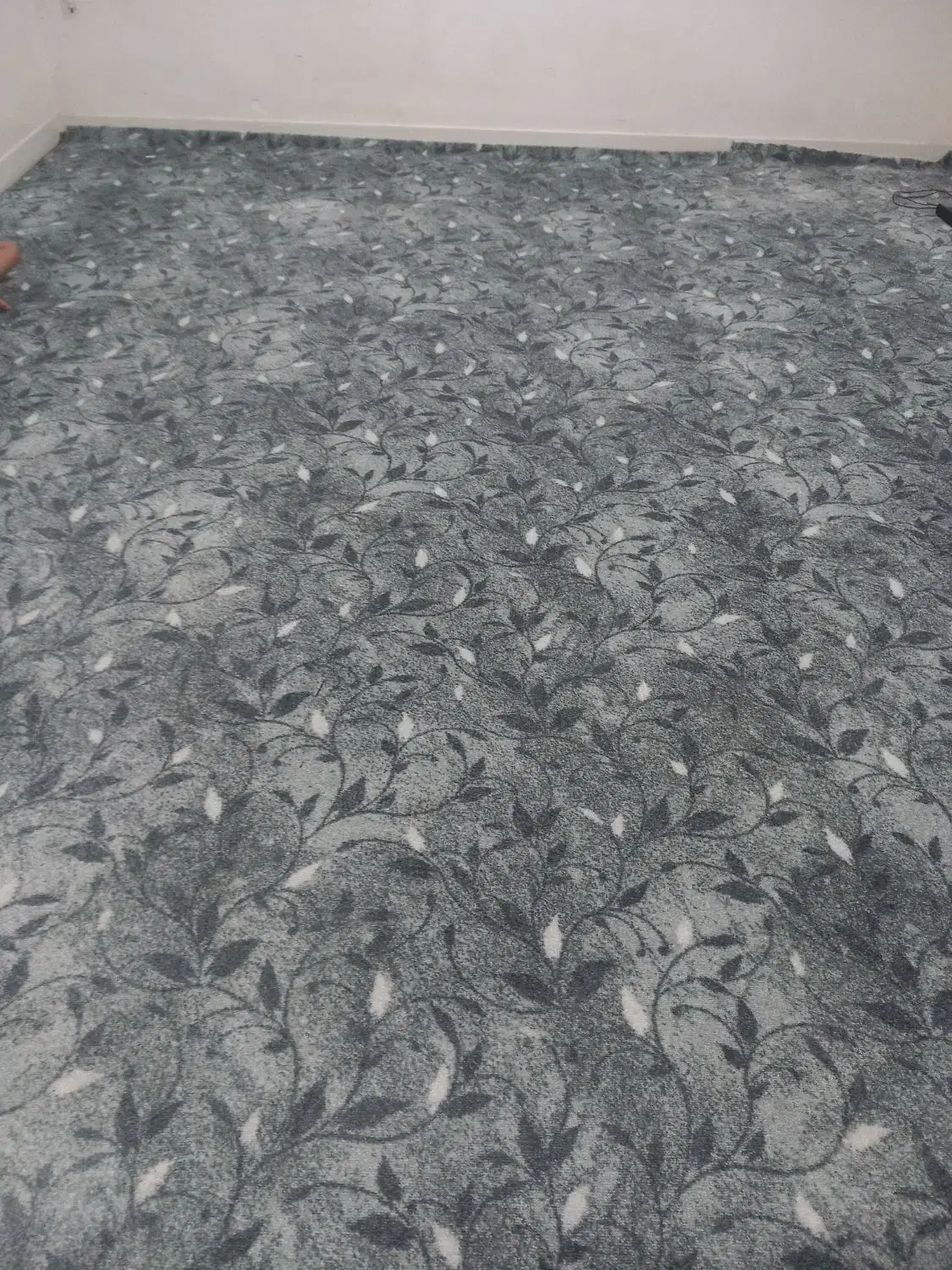 پالاز موکت|موکت|اهواز, شریعتی جنوبی|دیوار