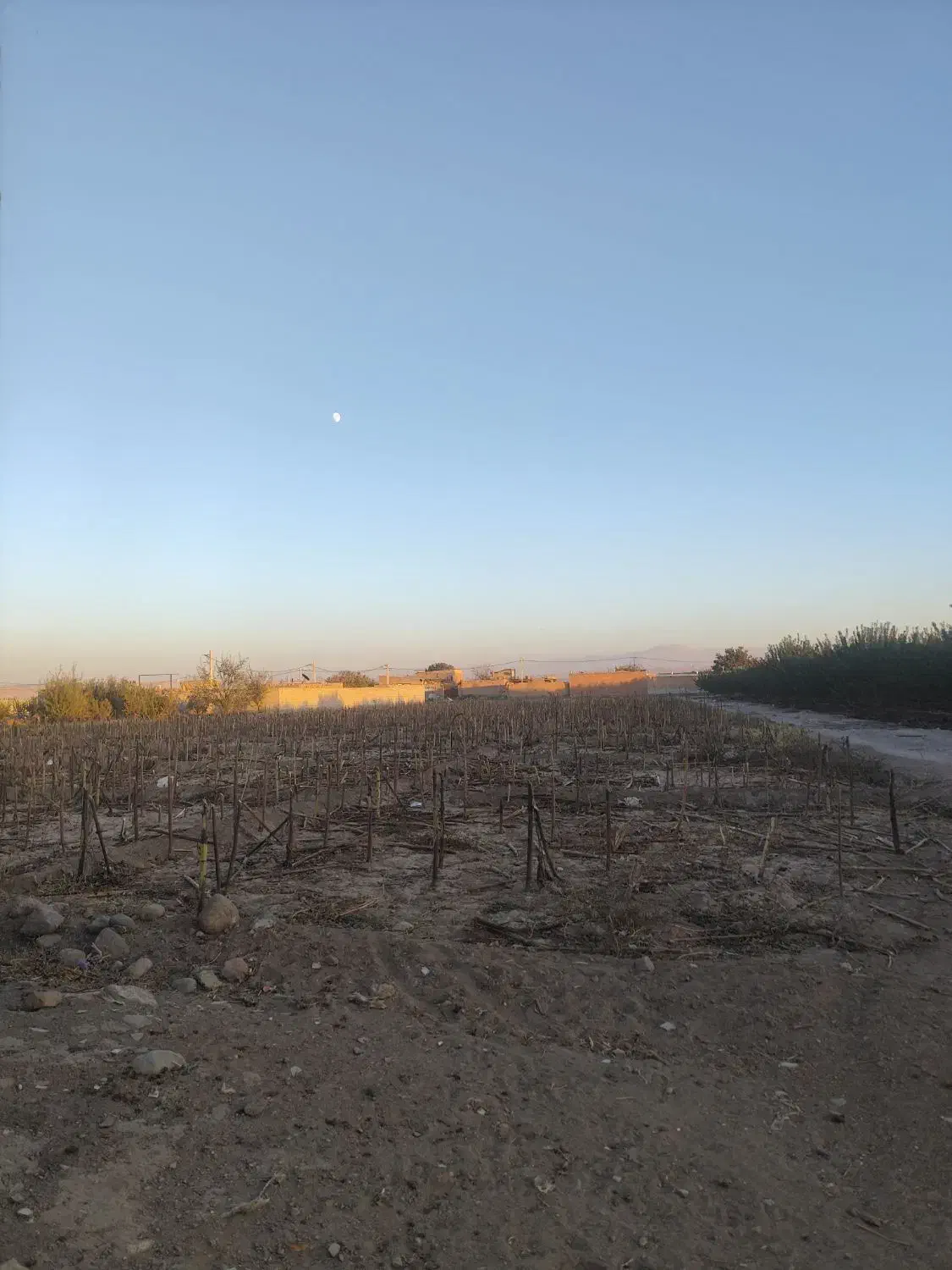 زمین باغی و ویلایی با سهم آب چاه|فروش زمین و ملک کلنگی|ایلخچی, |دیوار