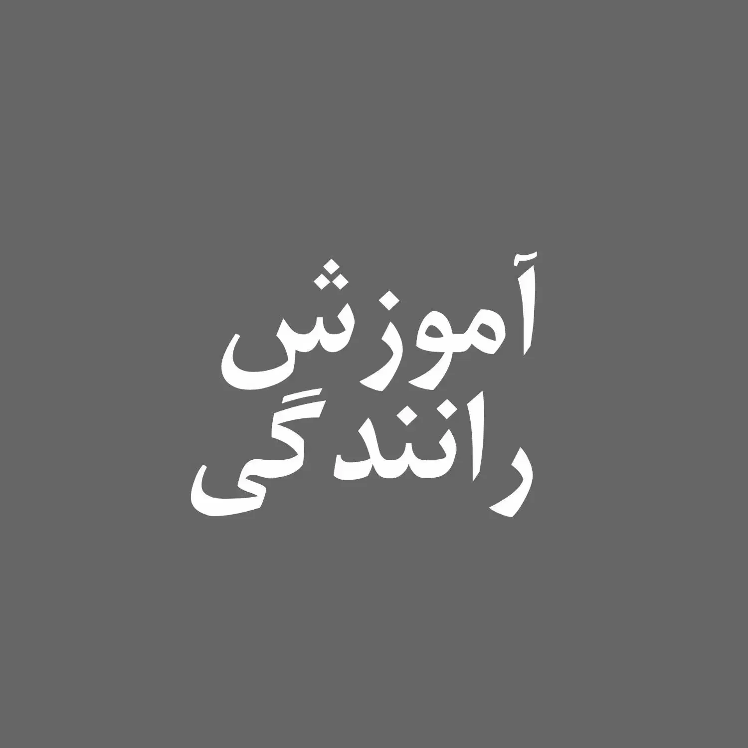 راهنمایی برای رانندگی|فعالیت داوطلبانه|فیروزآباد (فارس), |دیوار