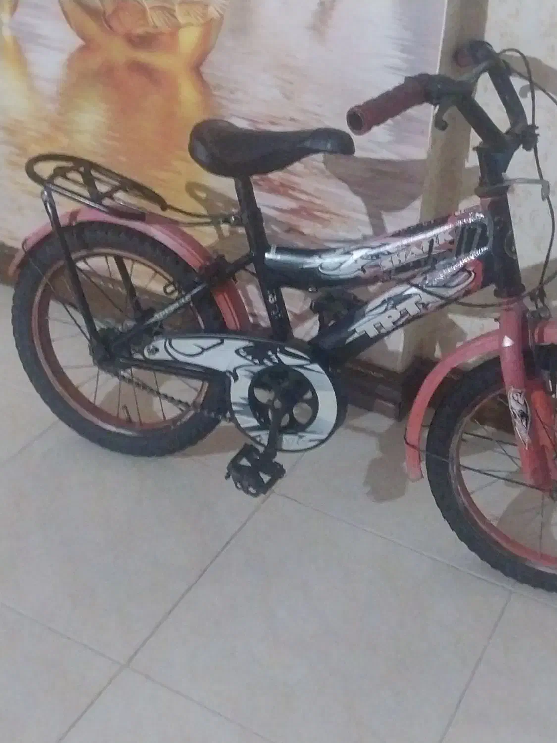 دوچرخه ۱۶|دوچرخه، اسکیت، اسکوتر|گلبهار, شهر جدید گلبهار|دیوار