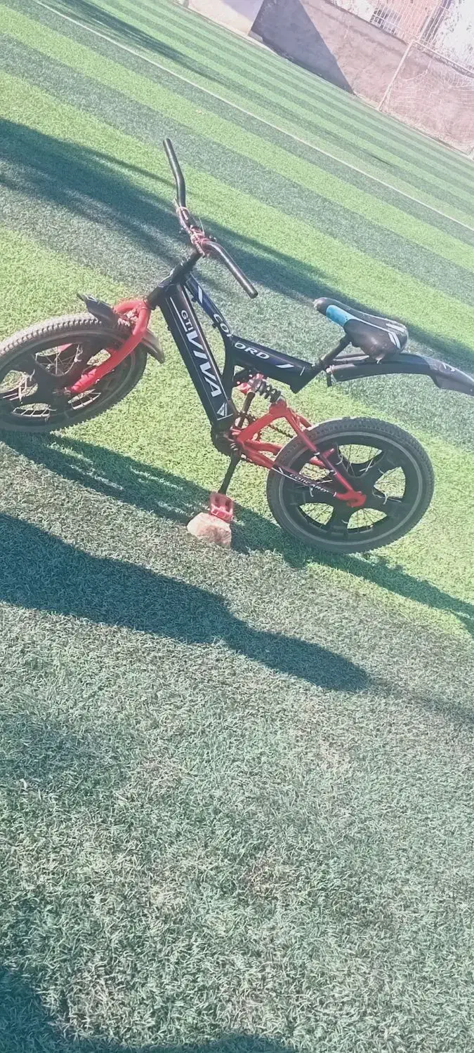 دوچرخه سایز ۲۰ عروسک|دوچرخه، اسکیت، اسکوتر|گنبد کاووس, |دیوار