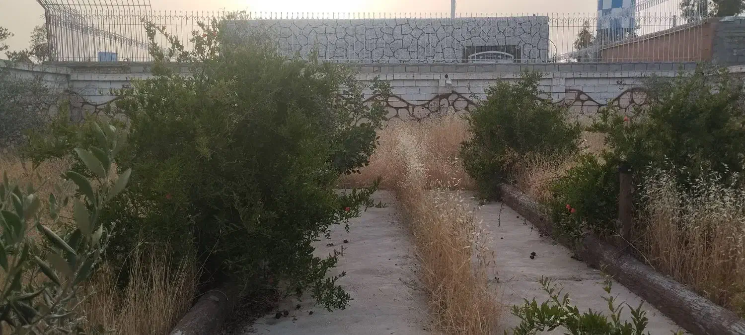 تصویر 3