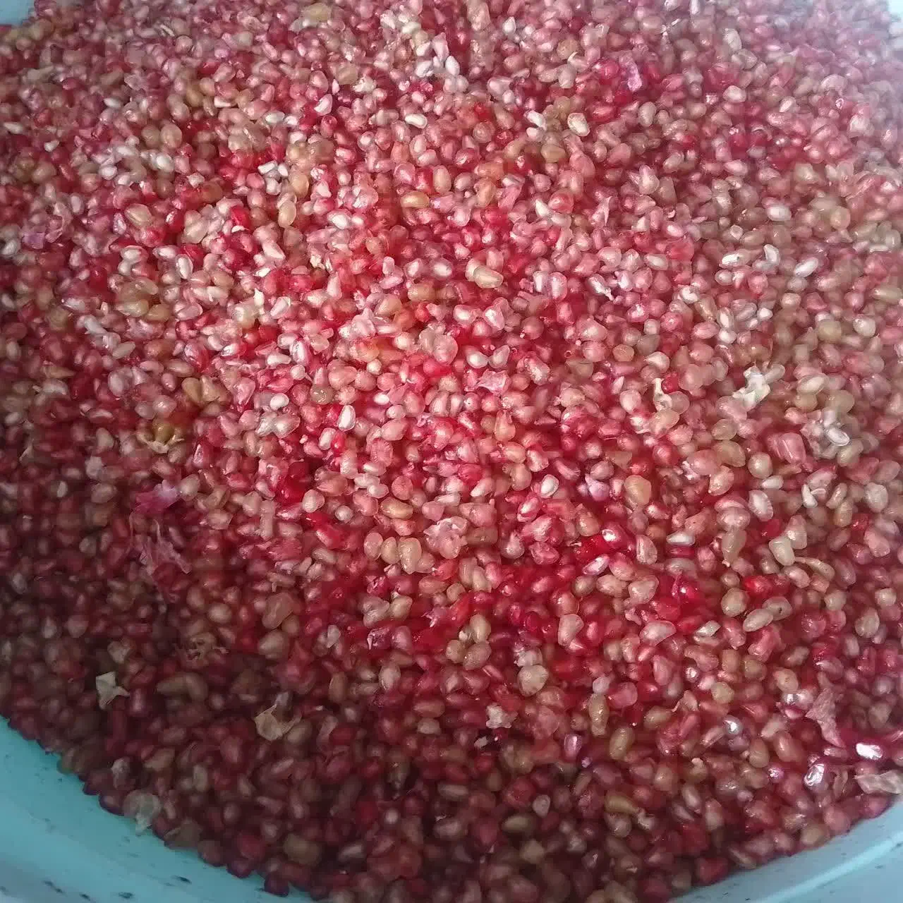 انار|حراج|فردوس (خراسان), |دیوار