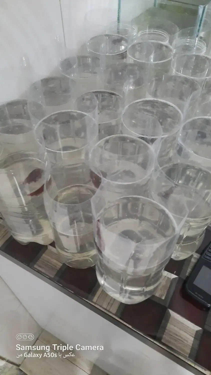 ماهی فایتر|ماهی|گلستان (تهران), |دیوار