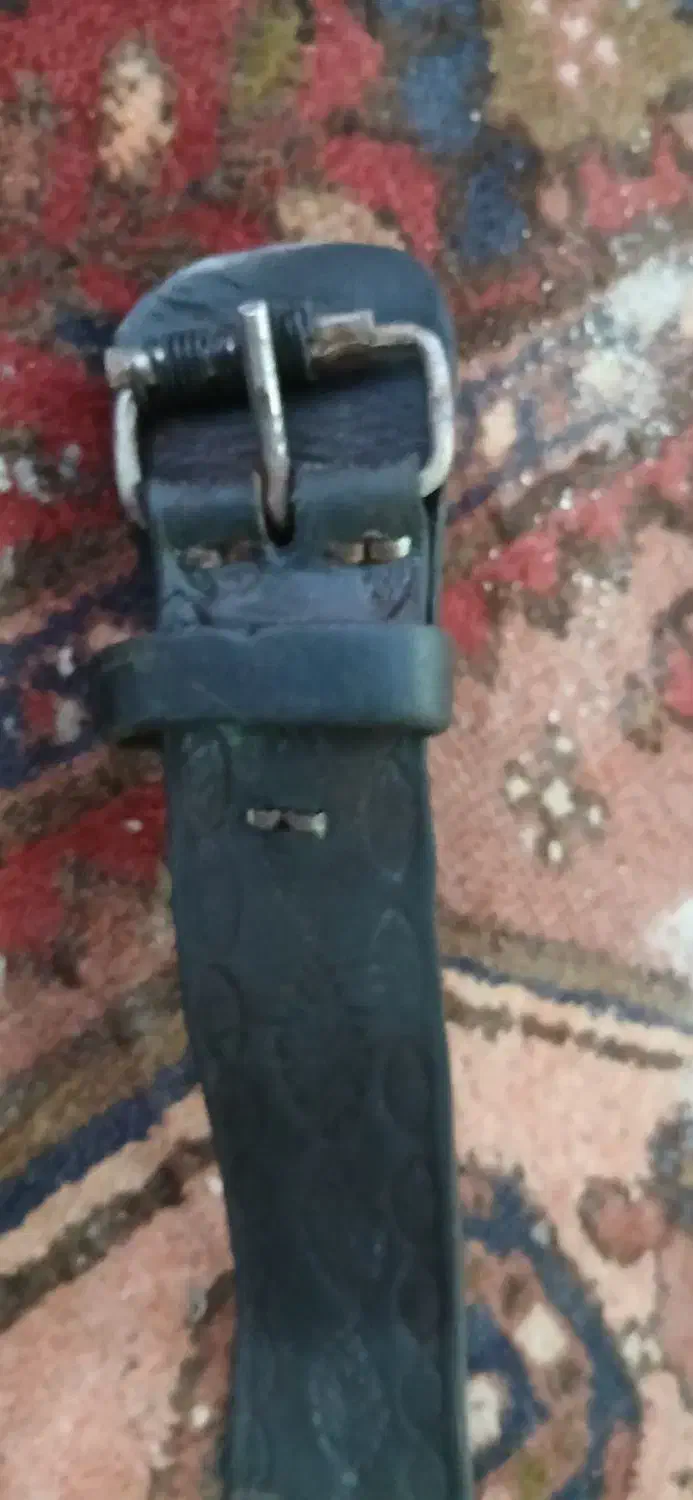 همایل علامت|کلکسیون اشیاء عتیقه|قزوین, |دیوار