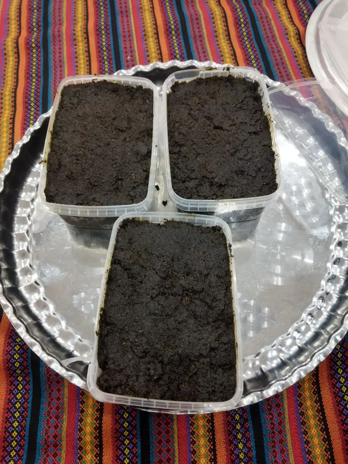 سبزی قرمه خوزستان|خوردنی و آشامیدنی|تهران, شارق|دیوار
